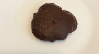 Nelly’s-Style Lower Histamine Coconut Bars