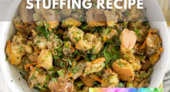 This Lower Histamine Stuffing is Pure Comfort