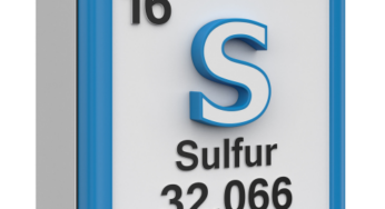 The Link Between Sulfur Dysregulation and MCAS