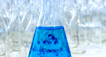 Methylene Blue for MCAS