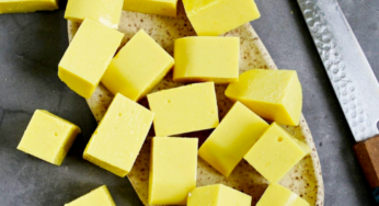 Lower Histamine Lower Sulfur Chickpea Tofu