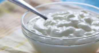 Homemade Coconut Yogurt