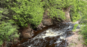Reflections After 100 Miles Solo Backpacking on the SHT