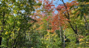 Fall Health Update