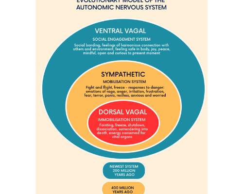 What is Polyvagal Theory?